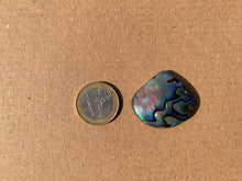 Charger l&#39;image dans la galerie, Abalone 65
