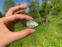 Charger l&#39;image dans la galerie, Abalone 70
