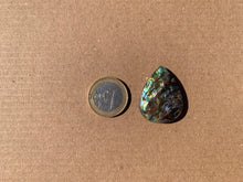 Charger l&#39;image dans la galerie, Abalone 70
