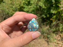 Charger l&#39;image dans la galerie, VENDU Abalone 41

