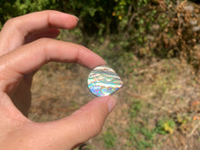 Charger l&#39;image dans la galerie, VENDU Abalone 43
