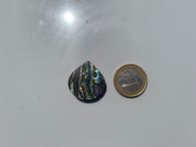 Charger l&#39;image dans la galerie, VENDU Abalone 43
