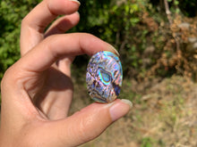 Charger l&#39;image dans la galerie, VENDU Abalone 44
