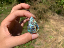 Charger l&#39;image dans la galerie, VENDU Abalone 45

