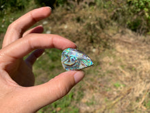 Charger l&#39;image dans la galerie, VENDU Abalone 45
