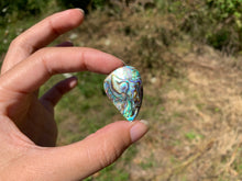 Charger l&#39;image dans la galerie, VENDU Abalone 45
