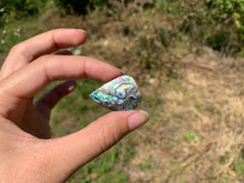 Charger l&#39;image dans la galerie, VENDU Abalone 45
