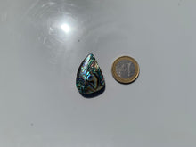 Charger l&#39;image dans la galerie, VENDU Abalone 45
