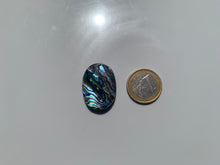 Charger l&#39;image dans la galerie, VENDU Abalone 50
