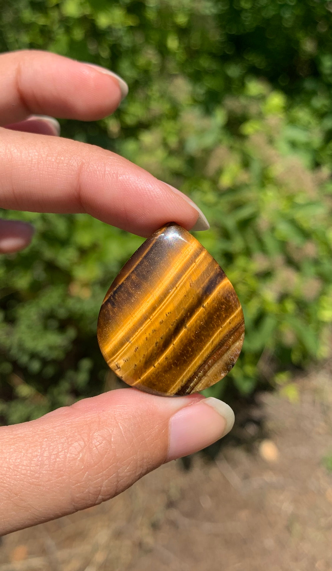 Oeil de tigre 29