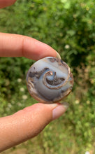 Charger l&#39;image dans la galerie, VENDU Ammonite 20
