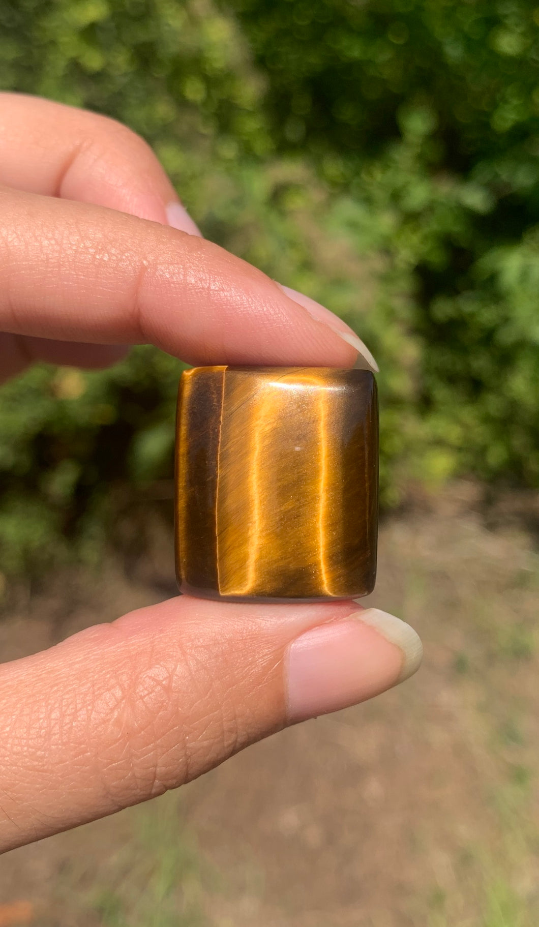 VENDU Oeil de tigre 32
