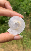 Charger l&#39;image dans la galerie, Ammonite 24
