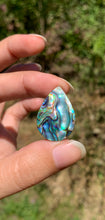 Charger l&#39;image dans la galerie, VENDU Abalone 38
