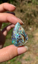 Charger l&#39;image dans la galerie, VENDU Abalone 45
