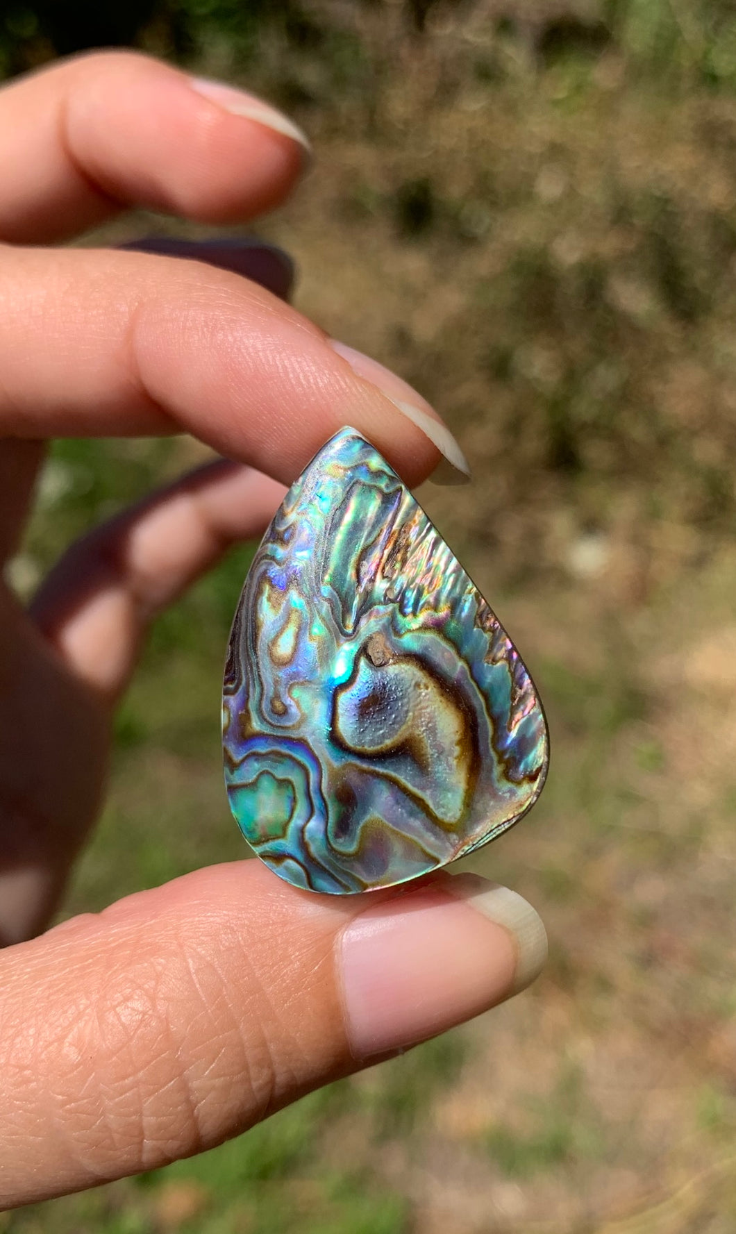 VENDU Abalone 45