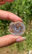Charger l&#39;image dans la galerie, VENDU Ammonite 34
