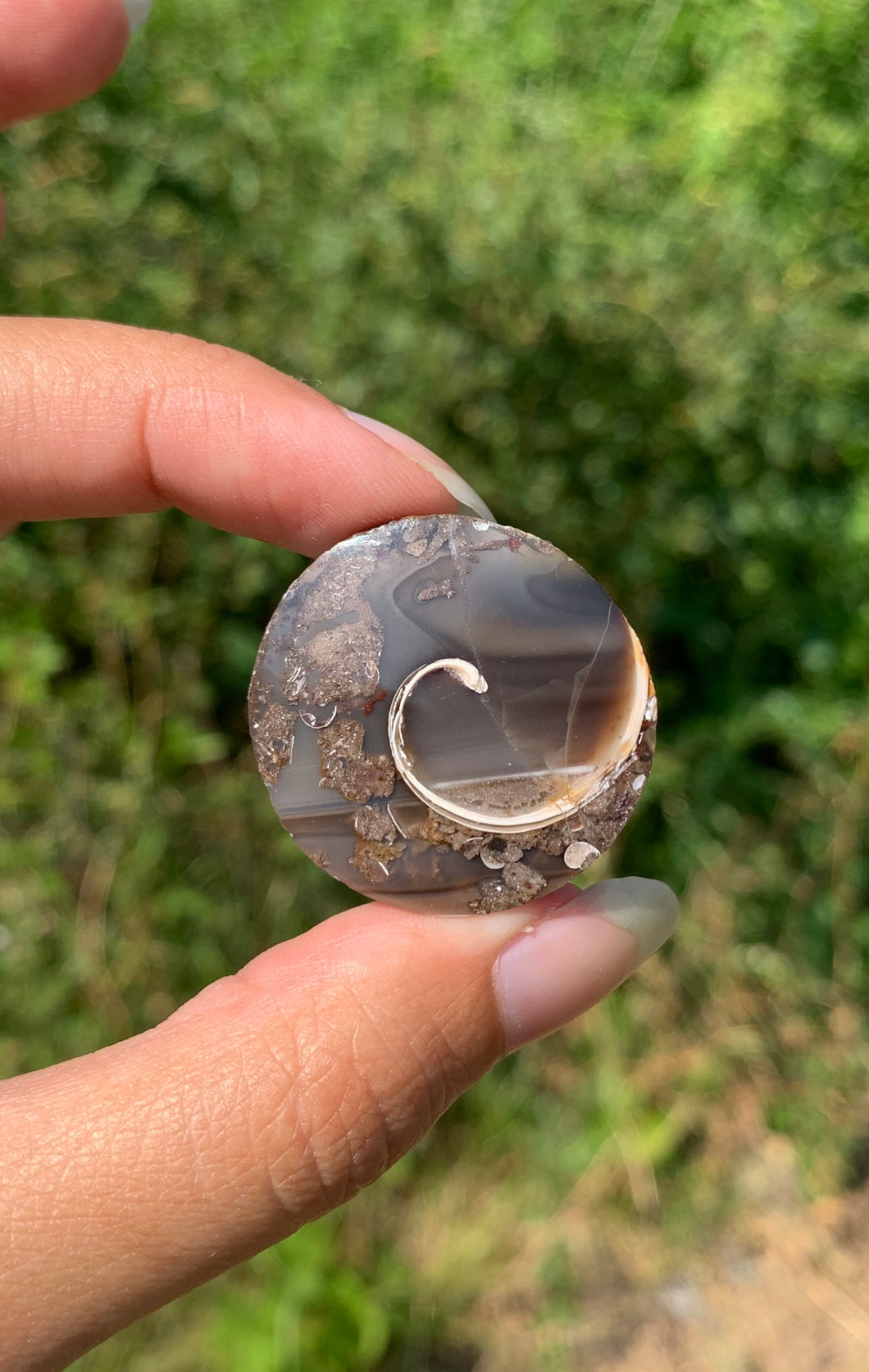 VENDU Ammonite 18