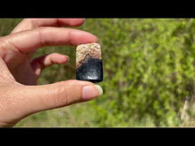 Charger et lire la vidéo dans la visionneuse de la Galerie, Bois fossilisé 9
