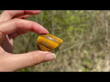 Charger et lire la vidéo dans la visionneuse de la Galerie, Oeil de tigre 64
