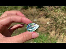 Charger et lire la vidéo dans la visionneuse de la Galerie, VENDU Abalone 38
