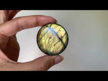 Charger et lire la vidéo dans la visionneuse de la Galerie, Labradorite 244
