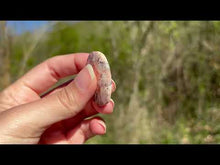 Charger et lire la vidéo dans la visionneuse de la Galerie, Jaspe oeil d&#39;oiseau 3
