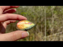 Charger et lire la vidéo dans la visionneuse de la Galerie, VENDU Labradorite 277
