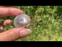 Charger et lire la vidéo dans la visionneuse de la Galerie, VENDU Ammonite 34

