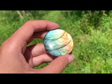 Charger et lire la vidéo dans la visionneuse de la Galerie, VENDU Labradorite 239
