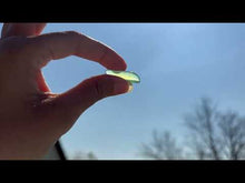 Charger et lire la vidéo dans la visionneuse de la Galerie, Jade Néphrite 11
