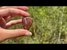 Charger et lire la vidéo dans la visionneuse de la Galerie, Agate mousse 26
