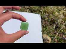 Charger et lire la vidéo dans la visionneuse de la Galerie, Jade Néphrite 7
