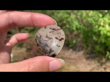 Charger et lire la vidéo dans la visionneuse de la Galerie, Agate du Montana 7
