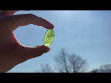 Charger et lire la vidéo dans la visionneuse de la Galerie, Jade Néphrite 20
