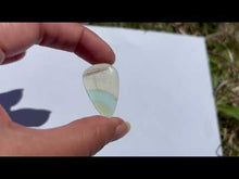 Charger et lire la vidéo dans la visionneuse de la Galerie, Fluorite 23
