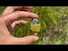 Charger et lire la vidéo dans la visionneuse de la Galerie, Jaspe Océan 4
