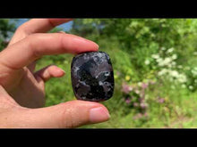 Charger et lire la vidéo dans la visionneuse de la Galerie, Gabbro 10

