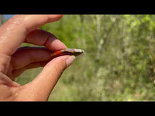 Charger et lire la vidéo dans la visionneuse de la Galerie, Agate Seam 15
