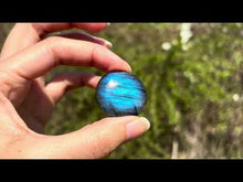 Charger et lire la vidéo dans la visionneuse de la Galerie, Labradorite 314
