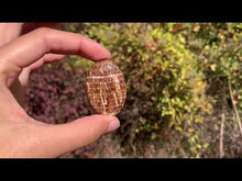 Charger et lire la vidéo dans la visionneuse de la Galerie, Calcite 9
