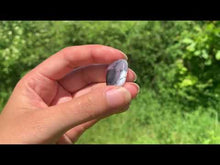 Charger et lire la vidéo dans la visionneuse de la Galerie, Agate dendritique 53
