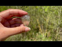 Charger et lire la vidéo dans la visionneuse de la Galerie, Quartz à Actinolite 8
