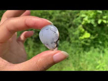 Charger et lire la vidéo dans la visionneuse de la Galerie, Agate dendritique 65
