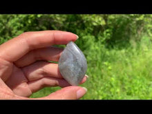 Charger et lire la vidéo dans la visionneuse de la Galerie, VENDU Labradorite 220
