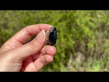 Charger et lire la vidéo dans la visionneuse de la Galerie, Bois fossilisé 14
