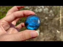 Charger et lire la vidéo dans la visionneuse de la Galerie, Labradorite 302
