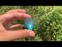 Charger et lire la vidéo dans la visionneuse de la Galerie, Chrysocolle 13
