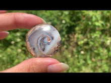 Charger et lire la vidéo dans la visionneuse de la Galerie, VENDU Ammonite 20
