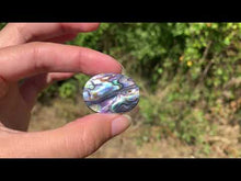 Charger et lire la vidéo dans la visionneuse de la Galerie, VENDU Abalone 51
